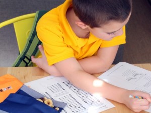 johnson-wrongtoteachtotest-flickr